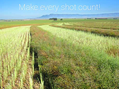 Spraying herbicides