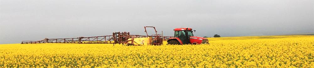 Onkruiddoder bespuiting op canola-land