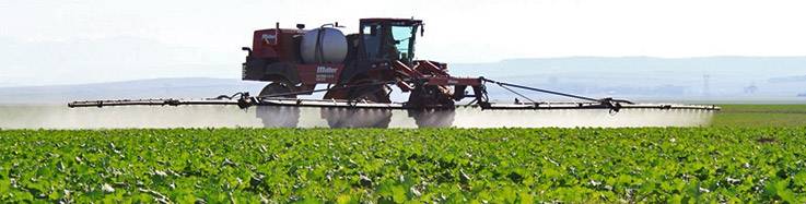Onkruiddoder bespuiting op canola-land